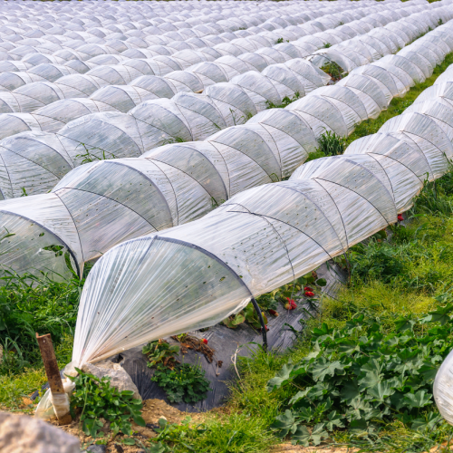 Products and Applications | Jafra Pac 7 4 1 1 | Jafra Pack