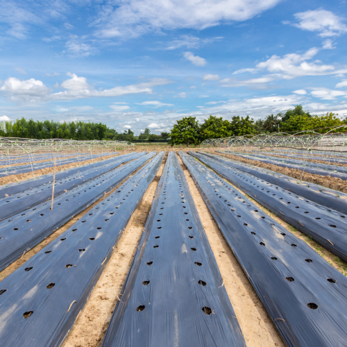 Products and Applications | Jafra Pac 7 4 1 | Jafra Pack